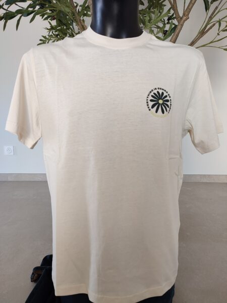 Tee shirt TEDDY SMITH Matteo